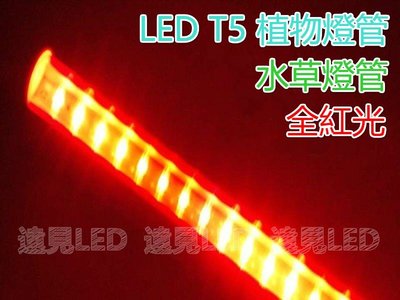 ♥遠見LED♥LED T5 植物燈管組 2尺 10W 紅光 全電壓 附開關線 LED植物燈 水草燈 高雄LED材料批發