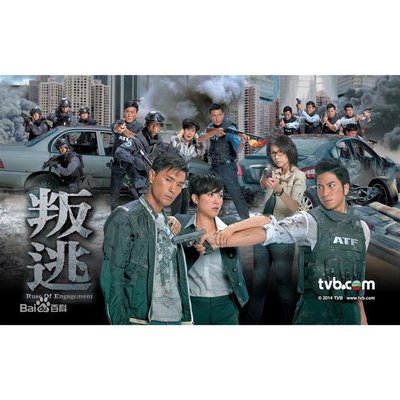 香港連續劇2014 叛逃/ATF反恐 陳展鵬 吳卓羲 國粵雙語雙碟DVD