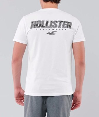 HCO Hollister 海鷗 短袖 T恤 現貨 印花 迷彩 白色