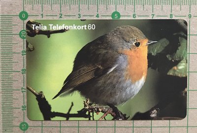 【卡庫】【鳥類】瑞典1997年，旅鶇/鷗鴝?  KSE6092