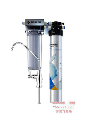 淨水器愛惠浦everpure凈水器直飲家用凈水機超濾自來水過濾器濾水器6000