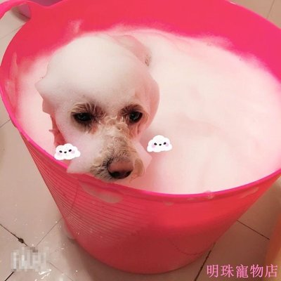 明珠寵物店~狗狗洗澡盆貓咪浴盆寵物浴缸泰迪法斗小狗小型犬大型犬專用泡澡桶