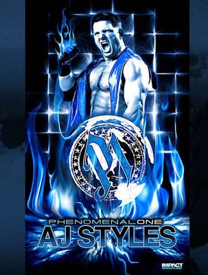☆阿Su倉庫☆WWE摔角 TNA巨星 AJ Styles Banner AJ巨幅旗幟造型款海報 熱賣特價中