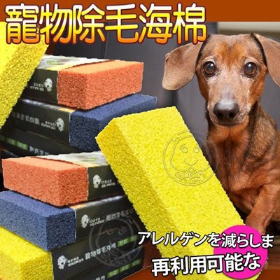 【🐱🐶培菓寵物48H出貨🐰🐹】狗狗笑了》寵物除毛海棉1個顏色隨機出貨 特價149元