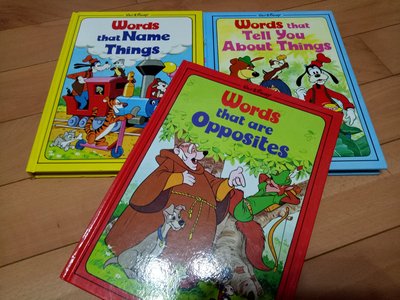 迪士尼 Words that 3本 圖畫字典書，相反詞，兒童美語