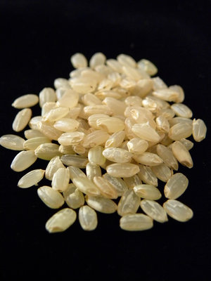 糙米．散裝糙米．一斤600g．產地:台灣台東關山．