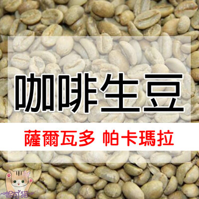 1kg生豆 薩爾瓦多 希望莊園 帕卡瑪拉 Pacamara-精品生豆《咖啡生豆工廠×尋豆~只為飄香台灣》咖啡生豆