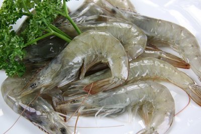 【冷凍蝦蟹類】活凍白蝦(40/50) /約 250g~殼薄新鮮~肉嫩味美~鮮甜便宜又好吃~