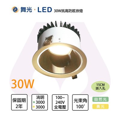 舞光 LED 30W 15cm 挑高防眩崁燈 適用6米 黃光/自然光 全電壓 光彩 %MT2-LED-25123