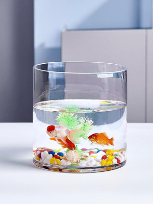 透明圓柱形玻璃魚缸小型家用客廳創意桌面圓形水培生態金魚缸直筒