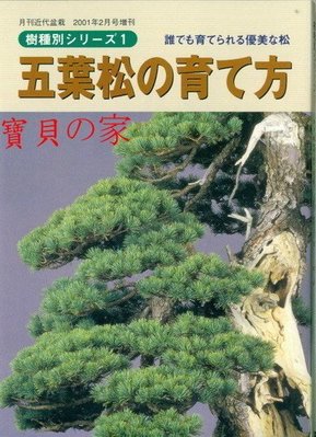 日本五葉松在拍賣的價格推薦 21年9月 比價比個夠biggo