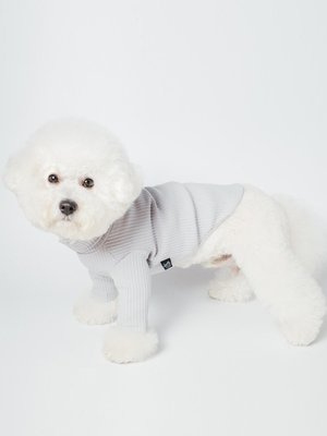 美宜佳：現貨Sniff寵物狗狗貓咪秋冬裝高領純色針織打底衫泰迪比熊小型犬衣服