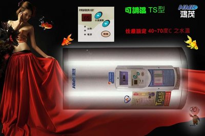 【工匠家居生活館 】鴻茂 EH-801TSQ 不鏽鋼 8加侖 電熱水器 ☆橫掛式☆可隨意調整溫度型