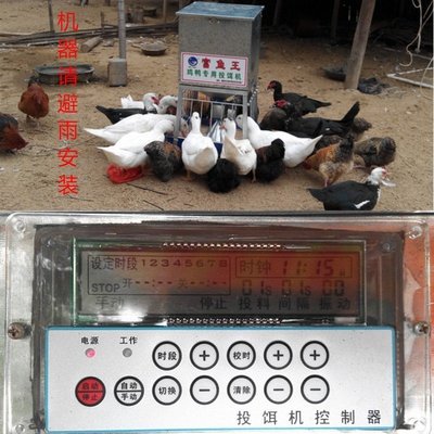 台灣現貨50KG容量雞鴨自動餵食機 雞鴨自動餵食器 雞鴨自動投料器 自動投料機 自動投餌機自動餵飼料機
