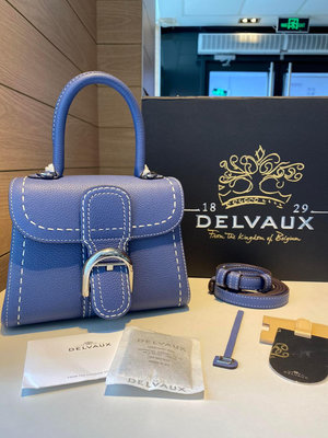 28：Delvaux brillant#外縫 天藍20