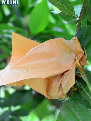 桃子套袋 水果套袋 果袋桃袋套育果袋防蟲防水防鳥柑橘黃桃水蜜桃-維尼創意家居