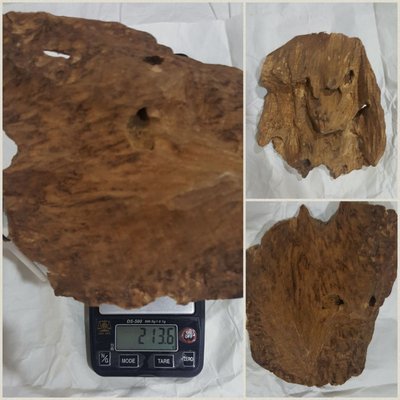 印尼-蘇拉威西沉香原木~擺件 蟲漏沉香木 不入水 重量約168公克 特價優惠