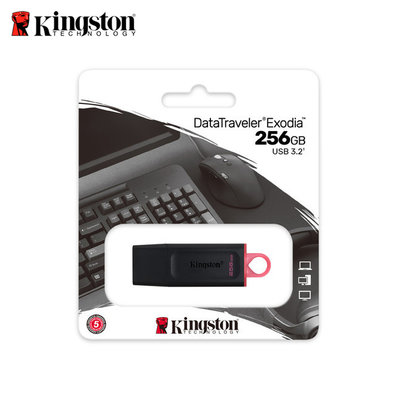 金士頓 Kingston【256GB】DataTraveler DTX USB3.2 隨身碟 (KT-DTX-256G)