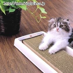 IRIS 換補式 長形瓦楞紙貓抓板 環保替換貓扒架 磨甲板 CTS-540（附 塑膠固定盒） 每件650元