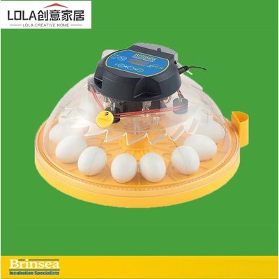 免運-英國小飛碟孵化器brinsea鸚鵡孵蛋器全自動孵化器鳥類孵化科爾鴨-LOLA創意家居