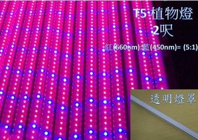 (安光照明)LED 植物燈 水族燈 LED日光燈管 T5 2呎 紅(660nm):藍(450nm)=5:1