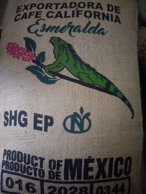 南美龐老爹咖啡 墨西哥 MEXICO ESMERALDA SHG EP 翡翠莊園 瓦哈卡OAXACA 生豆 1公斤
