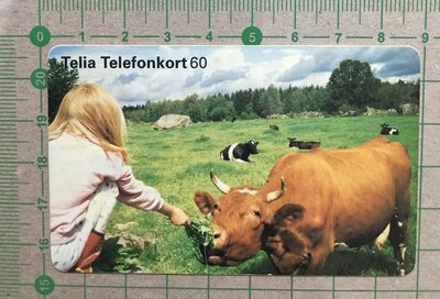 【卡庫】【動物】瑞典1996年，牛  KSE6075