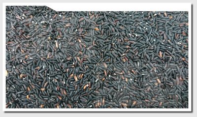 黑糯米 BLACK GLUTINOUS RICE - 600g 穀華記食品原料