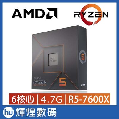 AMD Ryzen 5-7600X 4.7GHz 6核心 中央處理器 CPU