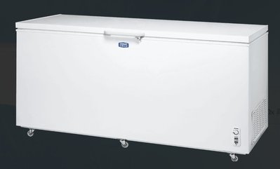 可配送定位《台南586家電館》SANLUX三洋上掀式冷凍櫃600公升6呎【SCF-610T】