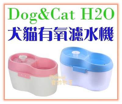 【Plumes寵物部屋】DOG&CAT H2O 《有氧濾水機2L》活水飲水器/飲水機/淨水器-犬貓適用【可超取】