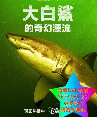 DVD 專賣 大白鯊的奇幻漂流/Return of the White Shark 紀錄片 2023年
