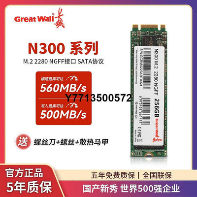 長城N300 1TB固態硬碟M2接口筆電桌機SSD固態硬碟SATA協議 NGFF