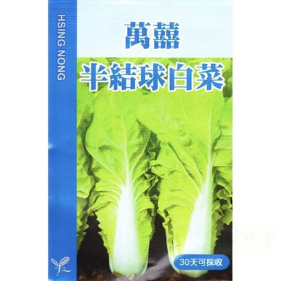 種子王國 萬囍半結球白菜 大包裝 1/4磅 白菜種子 興農種苗