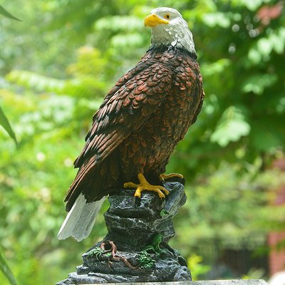 實拍 大號老鷹擺件 仿真動物模型 書房園藝雕像裝飾  滿599免運