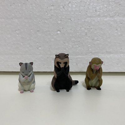 小花的店 合掌祈福動物//倉鼠/猴子/浣熊/轉蛋/扭蛋/現貨