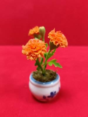 泰國佛牌-供花/萬壽菊（橘色）