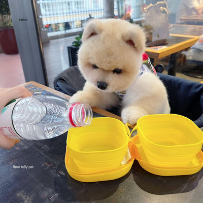 新品BeartoffyPet授權寵物貓狗碗外出便攜水壺 折疊隨行碗狗糧盆