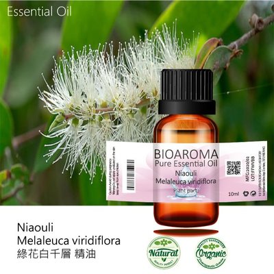 【芳香療網】綠花白千層精油Niaouli - Melaleuca viridiflora 100ml