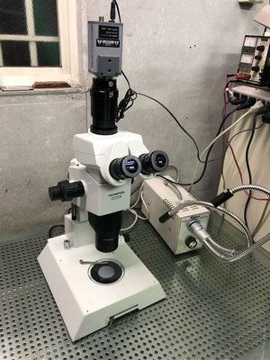 Olympus SZX9 Stereo Microscope 三眼 實物顯微鏡 解剖顯微鏡