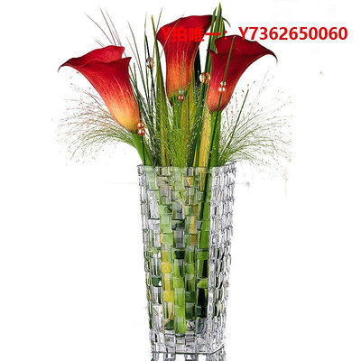 花瓶德國NACHTMANN進口水晶花瓶客廳家用富貴竹透明玻璃水養插花瓶