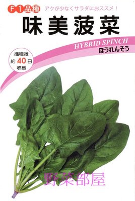 【野菜部屋~】A21 日本味美菠菜種子6公克 , 抗病性佳 , 可當生菜沙拉食材 , 每包15元~