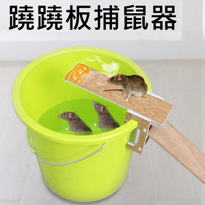 【*蹺蹺板捕鼠器-塑木】連續捕鼠蹺蹺板 老鼠 捉鼠