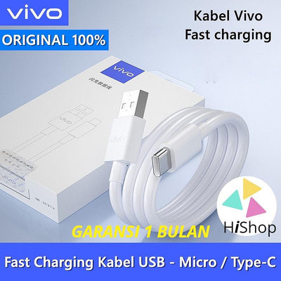 Vivo CHARGER 18W VIVO 數據線 Original100 快速充電 Micro USB Type C