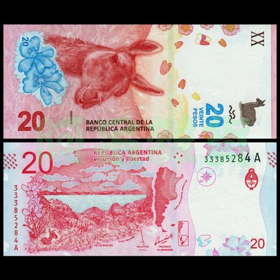 森羅本舖 現貨 阿根廷 精美 羊駝 草泥馬 20 比索 動物 2017年 全新無折 鈔票 鈔 幣 錢幣 紙鈔