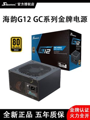 海韻CORE GX650W額定GC650W金牌850W全模組GM750W電腦主機電源