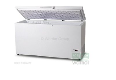 超低溫冷凍櫃 丹麥 LTW-325  284公升 冰櫃 冷凍 -60度 220V 公司貨 全省配送