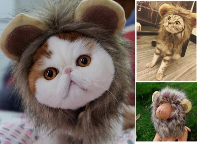 [熊大] 寵物獅子頭套 貓咪假髮 搞笑變裝獅子 貓咪變裝飾品 寵物飾品 冬天保暖  寵物帽子 貓假髮【HP02】