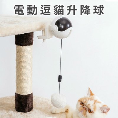 促銷 貓用玩具 電動逗貓升降球 逗貓玩具(白色) 自動升降遊戲玩伴 可拆卸清洗毛球 按鍵開關，一次玩5分鐘 可夾持在桌邊