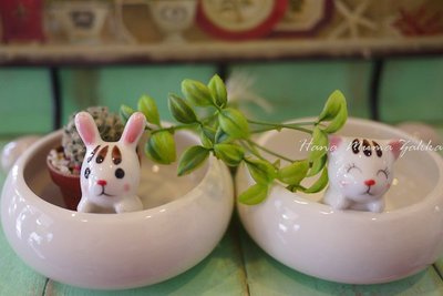小貓 兔子 陶瓷 花器 仙人掌 多肉 種植 園藝 動物 漏水孔  迷你 家居 雜貨 zakka -花木馬生活雜貨